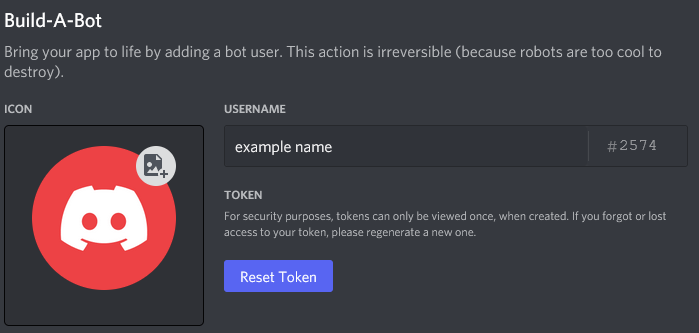 A section that shows your bot and its token